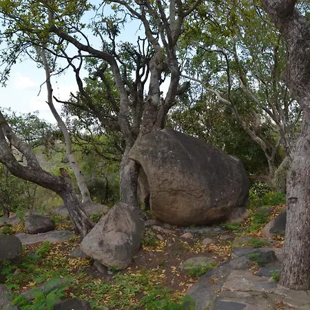Leopard Tree Retreat Villa Mbombela Exterior photo