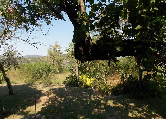Leopard Tree Retreat