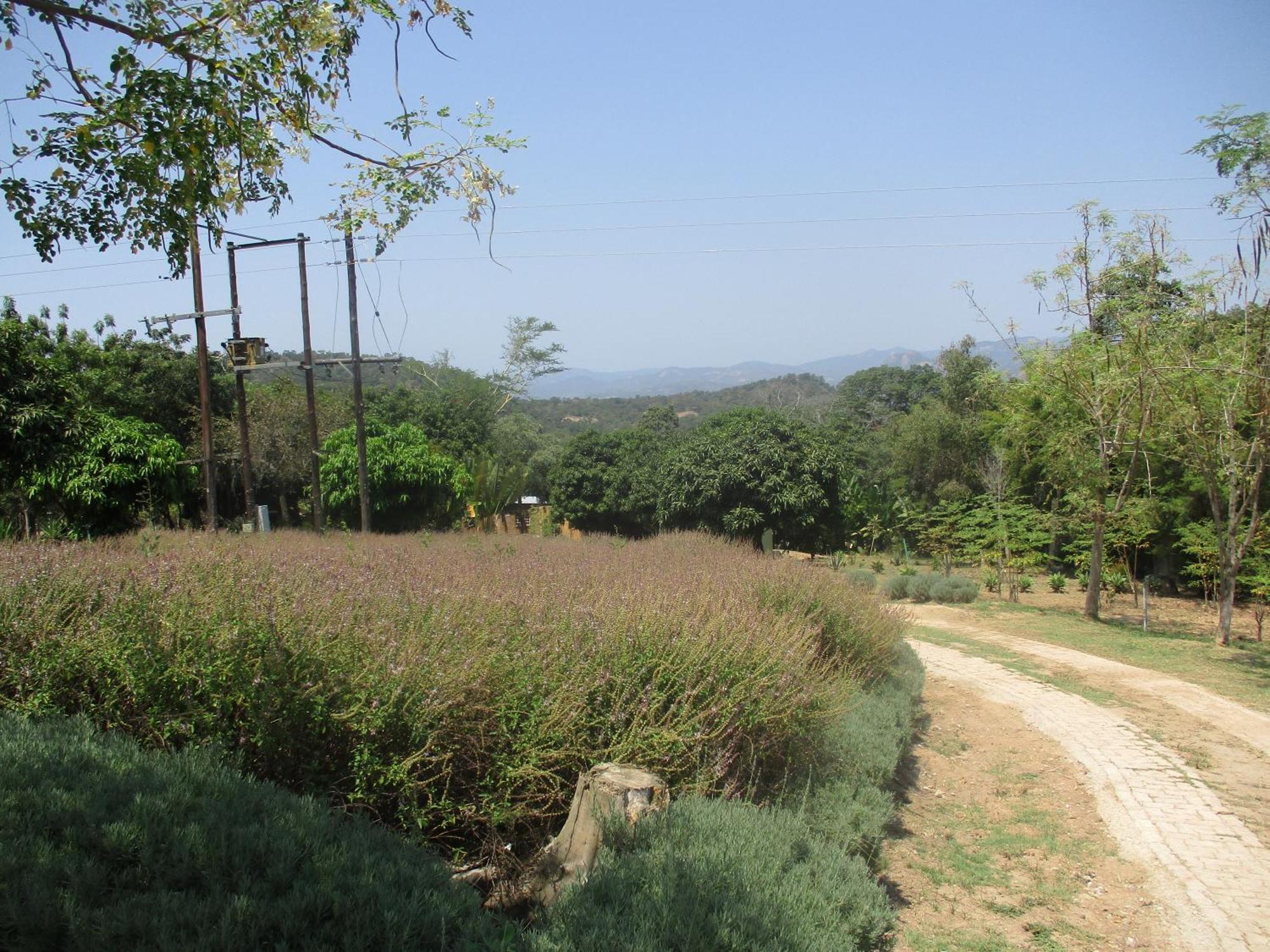 Farm stay Leopard Tree Retreat Mbombela