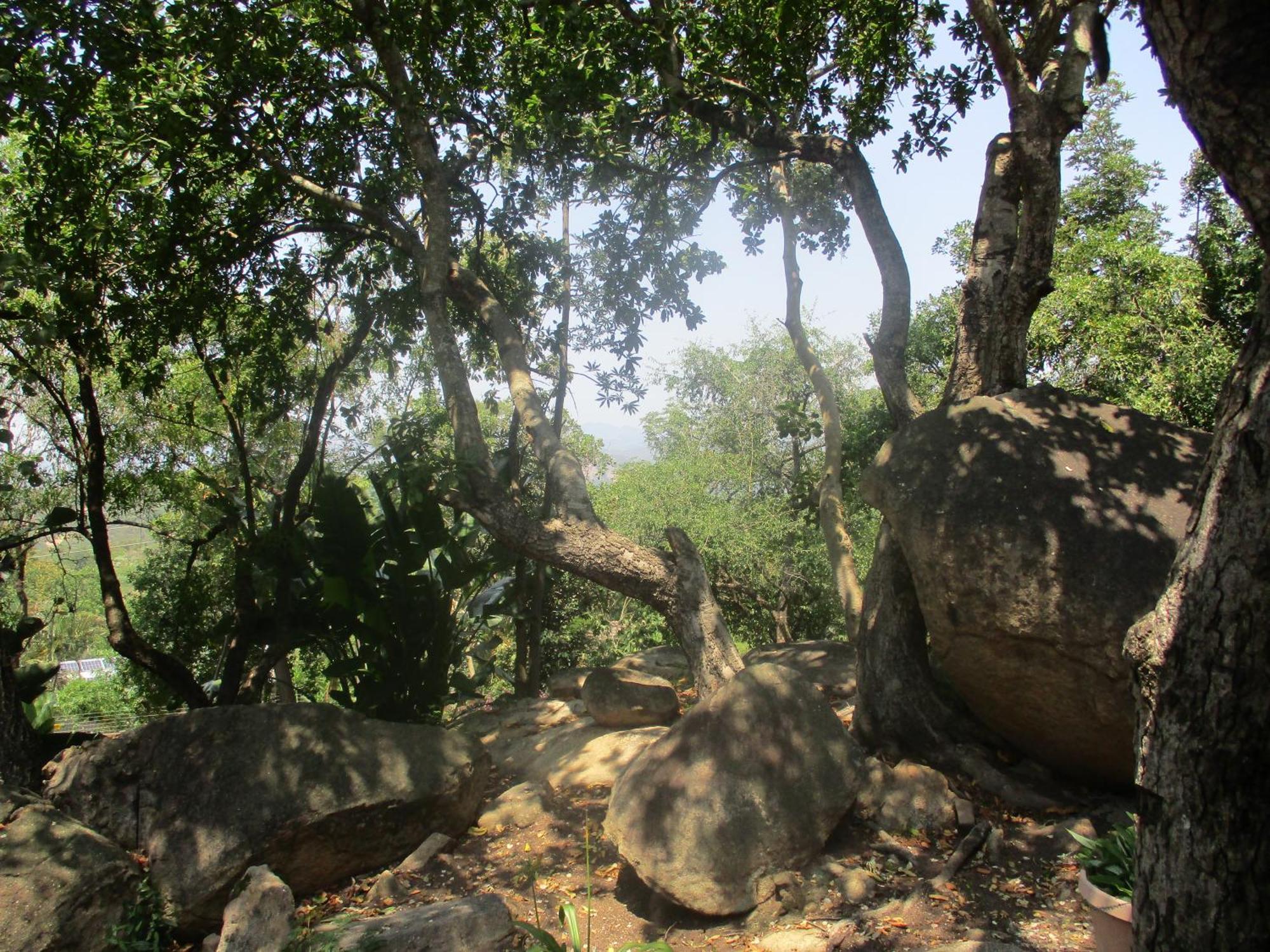 Leopard Tree Retreat Farm stay Mbombela