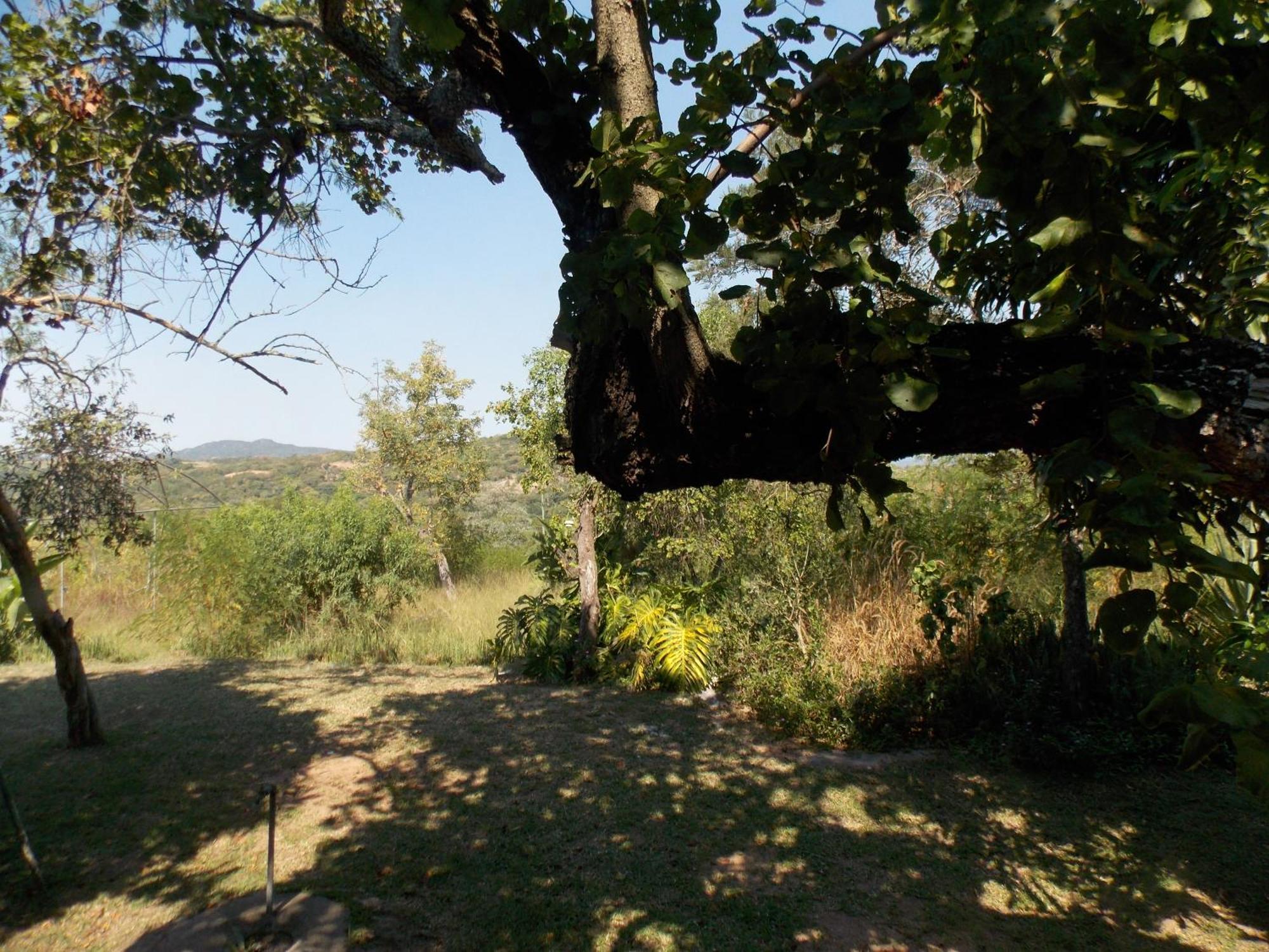 Farm stay Leopard Tree Retreat *