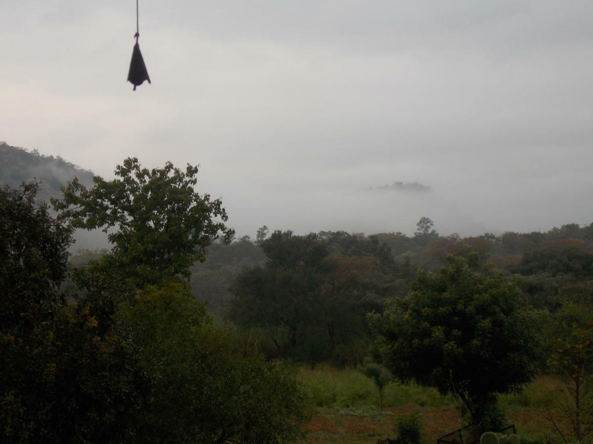 Leopard Tree Retreat Farm stay