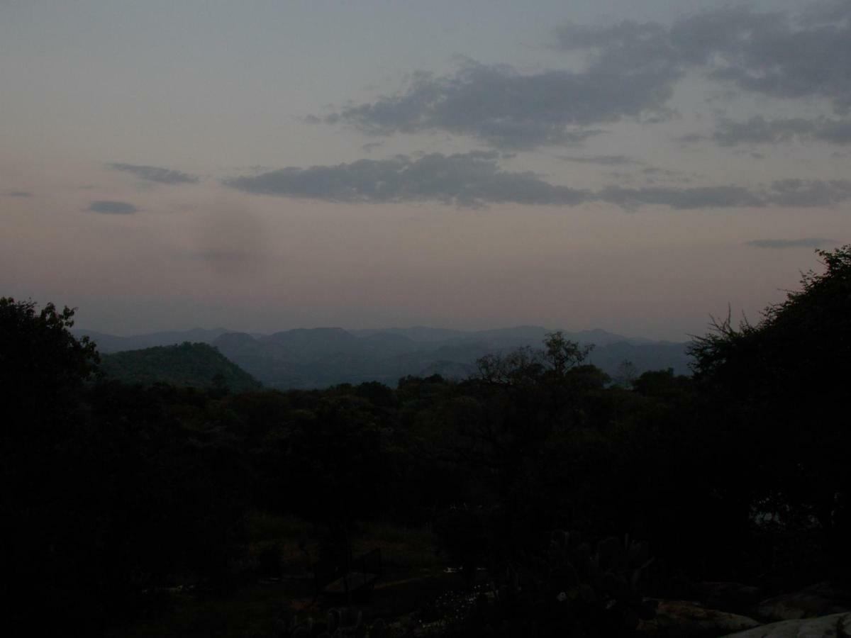 Farm stay Leopard Tree Retreat