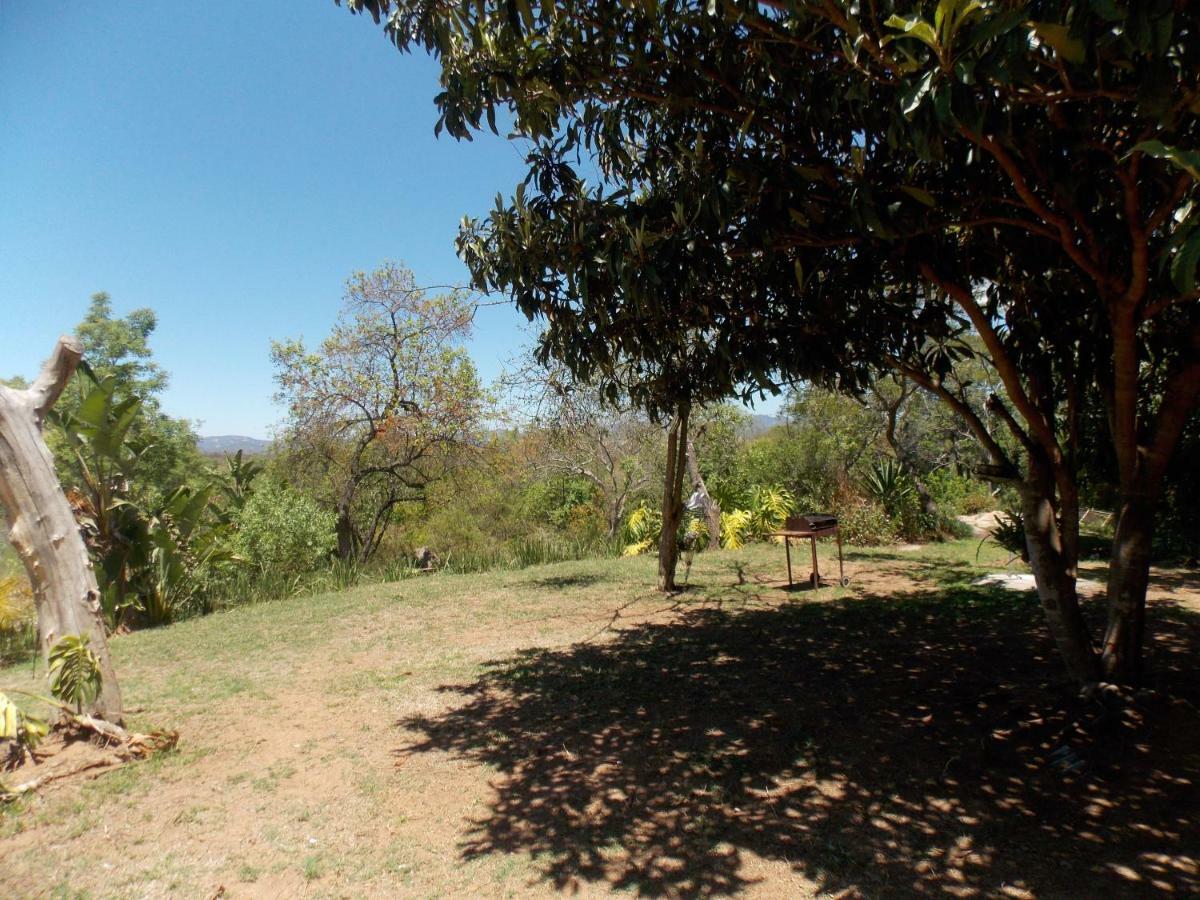Farm stay Leopard Tree Retreat *