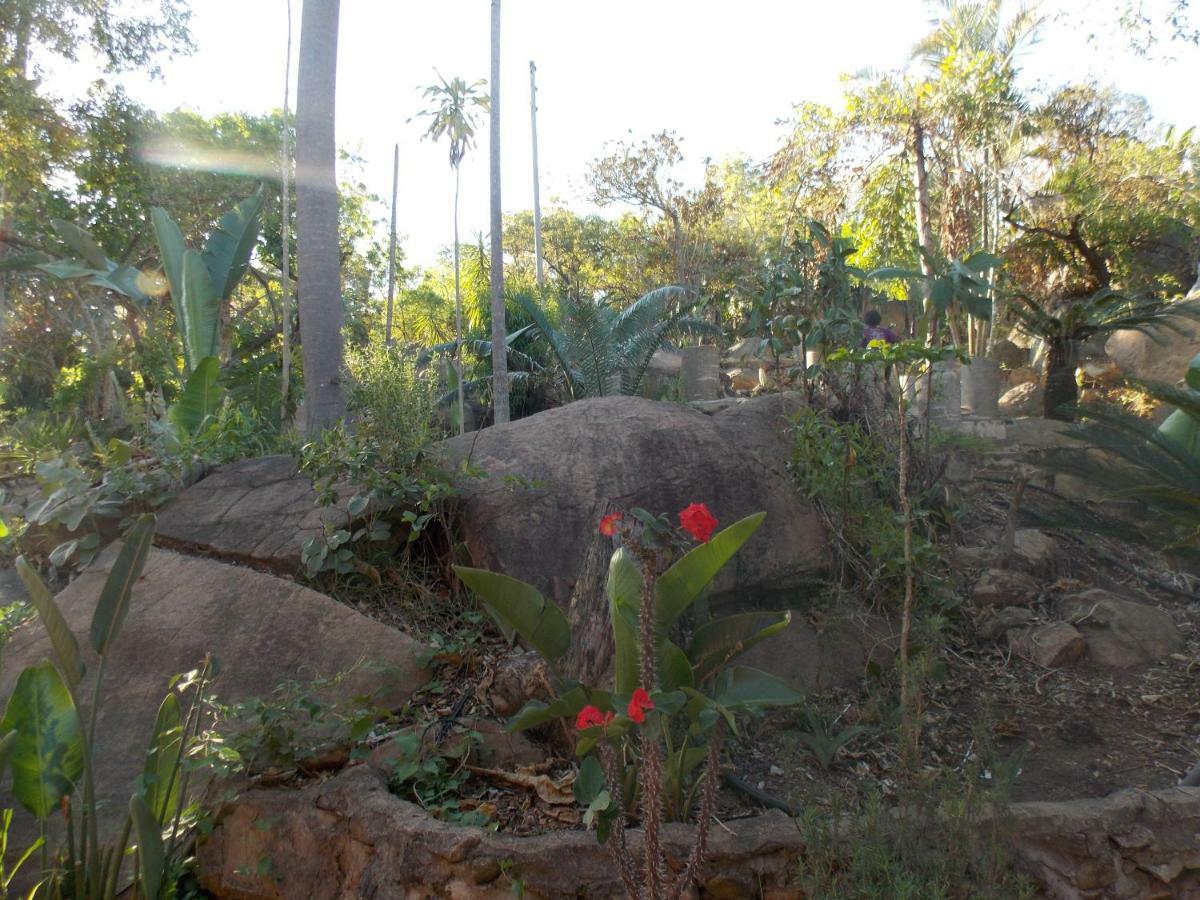 Farm stay Leopard Tree Retreat *