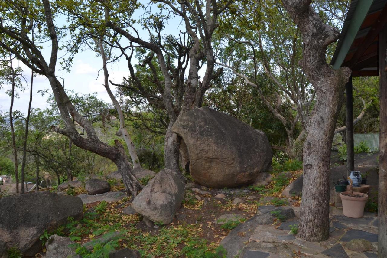 Leopard Tree Retreat *